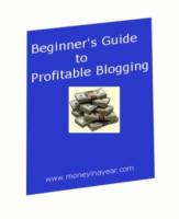 Beginner`s Guide To Profitable Blogging