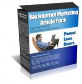 Big Internet Marketing Article Pack