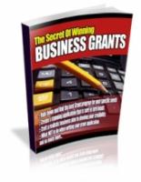 The Secrets Of Winning Business Grants