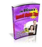 The Big Book Of Resell Rights Tips