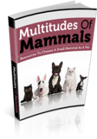 Multitudes Of Mammals 