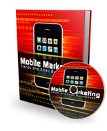 Mobile Marketing Trends And Small Business 
