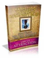 Harnessing Your True Authority In Life