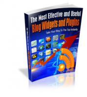 Effective And Useful Blog Widgets And Plugin
