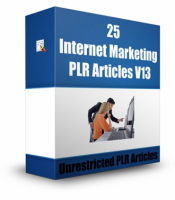 25 Internet Marketing PLR Articles V 13