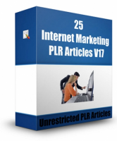 25 Internet Marketing PLR Articles V 17