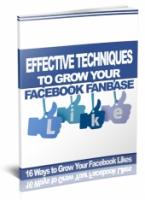 Effective Ways To Grow Facebook Fanbase 