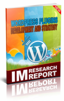 WordPress Plugin Strategy And De...