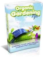 Organic Gardening Tips 