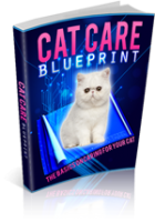 Cat Care Blueprint 