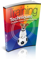 Training Techniques 