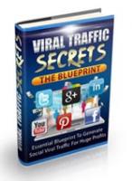 Viral Traffic Secrets Blueprint 