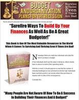 Budget And Organization Plans Fo...