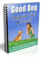 Good Dog Behavior Newsletter 