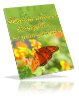 How To Attract Butterflies To Yo...