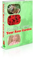 Rose Gardening 