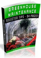 Greenhouse Maintenance 