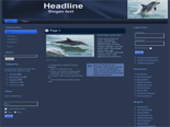Dolphins Website Templates 