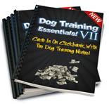 Dog Training Essentials V2
