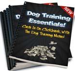Dog Training Essentials