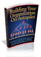 Building Your Organization On Au...