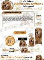 Templates - Golden Retriever 