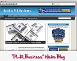 PLR Business Blog 
