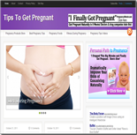 Pregnancy Tips Niche Blog 