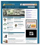 Adsense Niche Blog 