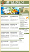 Debt Relief Niche Blog