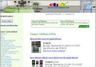 EBay Cash Flow Site