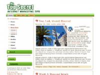 Top Secret WP Theme