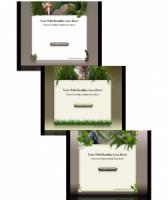 Wild Life Templates Mini Site