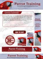 Templates - Parrot Training