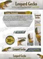 Templates - Leopard Gecko 