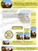 Templates - Raising Chickens