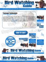 Templates - Bird Watching