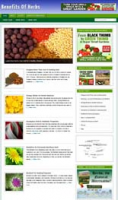 Benefits Of Herbs Niche Blog 