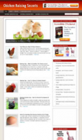 Chicken Raising Niche Blog 