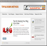 Top Blogging Methods Blog 