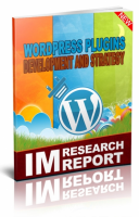 WordPress Plugin Strategy And Development 