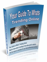Your Guide To Whats Trending Online 
