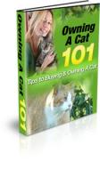 Owning A Cat 