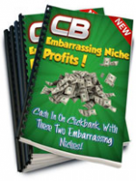 Embarrassing Niche Profits 