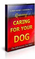 Caring For Your Dog 