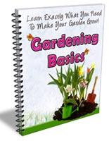 Gardening Basics Newsletter 