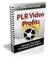 PLR Video Profits 