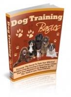 Dog Training Basics 