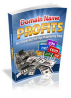 Domain Name Profits 