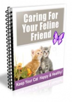 Caring For Your Feline Friend